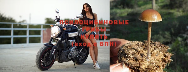 MDMA Premium VHQ Белоозёрский