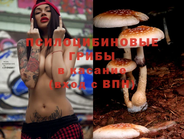 мескалин Белокуриха