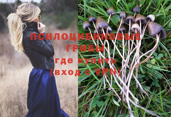 альфа пвп Беломорск