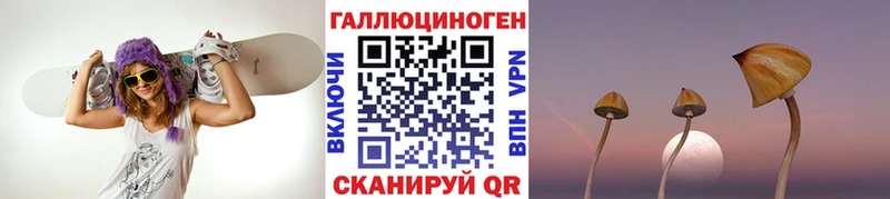 Галлюциногенные грибы GOLDEN TEACHER Богданович